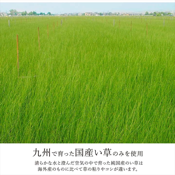 ラグ 長方形 国産 日本製 ナチュラルスタイル い草 消臭 抗菌防臭 滑り止め 防炎 市松 約140×200cm 送料無料 - 【公式】allecore(アレコレ) 家具インテリア・生活雑貨のオンライン通販