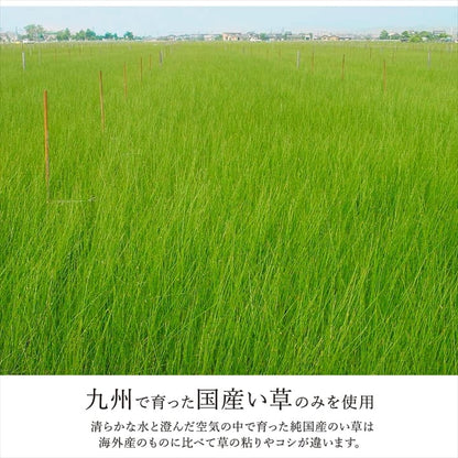 ラグ 長方形 国産 日本製 ナチュラルスタイル い草 消臭 抗菌防臭 滑り止め 防炎 市松 約191×250cm 送料無料 - 【公式】allecore(アレコレ) 家具インテリア・生活雑貨のオンライン通販