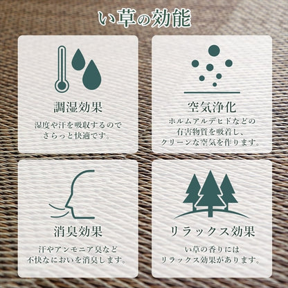 ラグ 長方形 国産 日本製 ナチュラルスタイル い草 消臭 抗菌防臭 滑り止め 防炎 市松 約191×300cm 送料無料 - 【公式】allecore(アレコレ) 家具インテリア・生活雑貨のオンライン通販