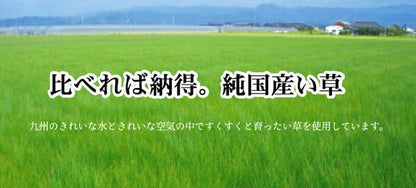 純国産 柳川段通 四重織 い草ラグカーペット 『ラスター』 約191×191cm 送料無料