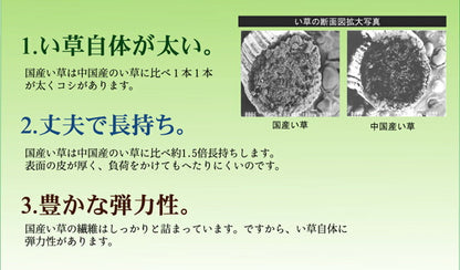 純国産 柳川段通 四重織 い草ラグカーペット 『ラスター』 約191×191cm 送料無料