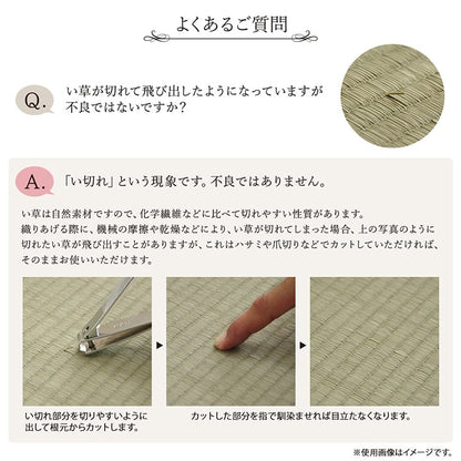 ラグ い草 モダン 純国産 国産 日本製 ウレタン 抗菌防臭 自然素材 ナチュラル 約191×250cm 送料無料
