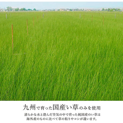 ラグ い草 モダン 純国産 国産 日本製 ウレタン 抗菌防臭 自然素材 ナチュラル 約191×250cm 送料無料
