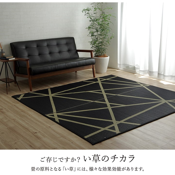 ラグ い草 モダン 純国産 国産 日本製 ウレタン 抗菌防臭 自然素材 ナチュラル 約191×191cm 送料無料