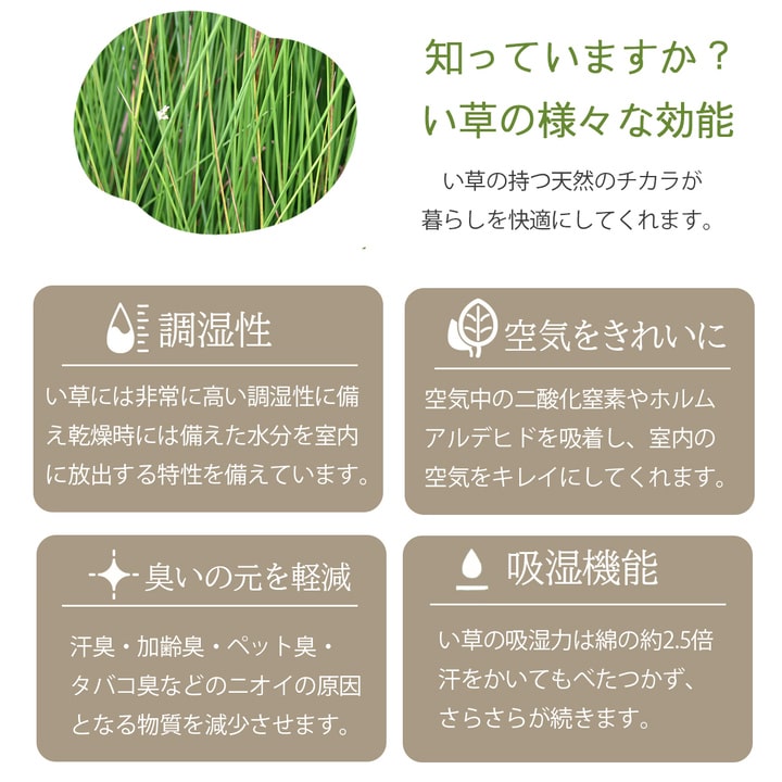 ラグ マット 国産 日本製 い草 高級感 エレガンス 消臭 自然素材  滑り止め加工 不織布 正方形 約191×191cm 送料無料