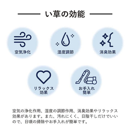 ラグ 長方形 い草 日本製 国産 自然素材 ナチュラル 市松柄 オールシーズン 消臭 シンプル 約140×200cm ホットカーペット対応 床暖房対応 送料無料