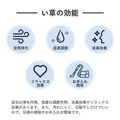 ラグ 長方形 い草 日本製 国産 自然素材 滑り止め加工 ナチュラル 市松柄 オールシーズン 消臭 シンプル 約191×300cm ホットカーペット対応 床暖房対応 送料無料 - 【公式】allecore(アレコレ) 家具インテリア・生活雑貨のオンライン通販