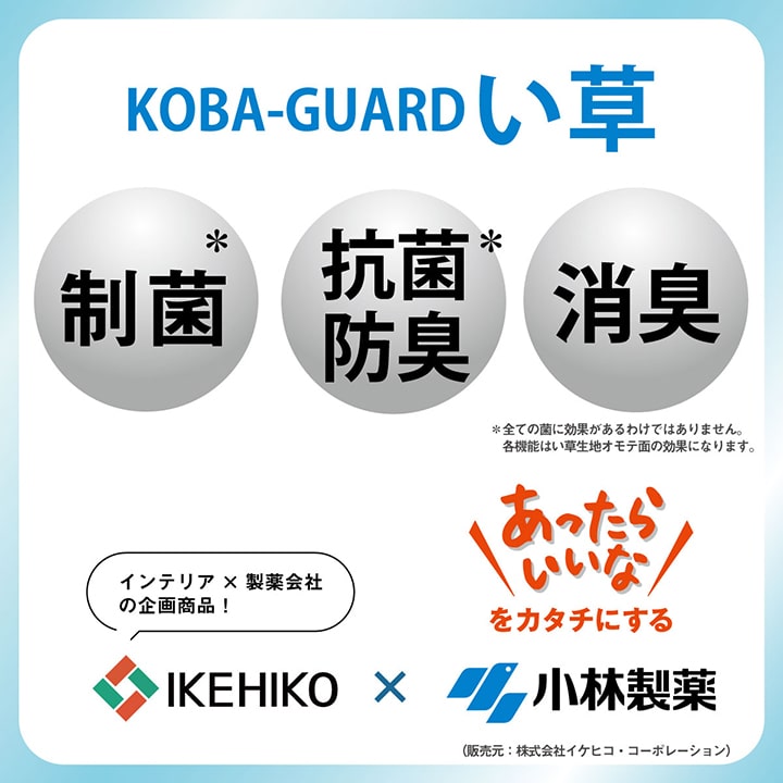 ラグ 小林製薬 持続性抗菌剤 KOBA-GUARD 制菌 抗菌防臭  滑り止め 不織布 夏 い草 グラデーション 約190×300cm 送料無料
