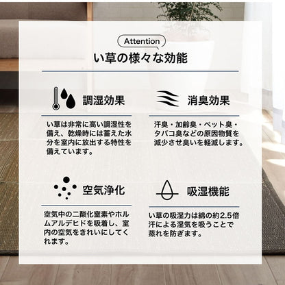 ラグ 小林製薬 持続性抗菌剤 KOBA-GUARD 制菌 抗菌防臭  滑り止め 不織布 夏 い草 グラデーション 約190×300cm 送料無料
