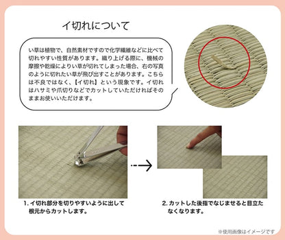 ラグ 小林製薬 持続性抗菌剤 KOBA-GUARD 制菌 抗菌防臭  滑り止め 不織布 夏 い草 グラデーション 約126×190cm 送料無料