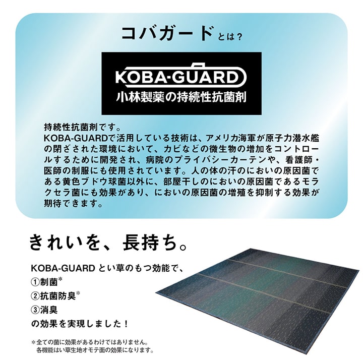 ラグ 小林製薬 持続性抗菌剤 KOBA-GUARD 制菌 抗菌防臭  滑り止め 不織布 夏 い草 グラデーション 約126×190cm 送料無料