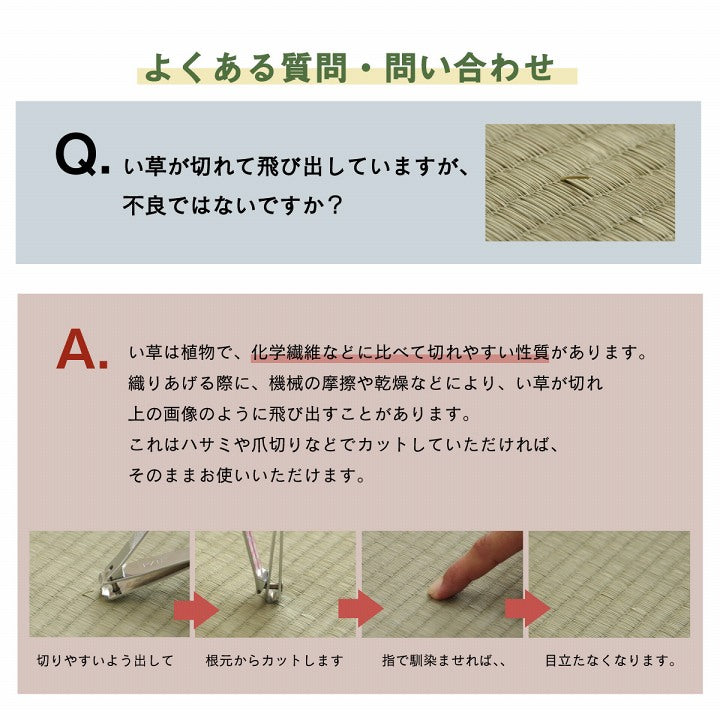 ラグ 正方形 い草 リーフ 自然素材 抗菌防臭 滑り止め不織布 約191×191cm 送料無料