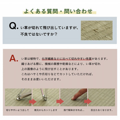ラグ 正方形 い草 リーフ 自然素材 抗菌防臭 滑り止め不織布 約191×191cm 送料無料