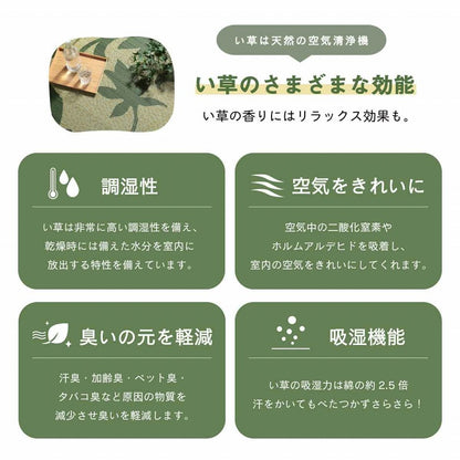 ラグ 正方形 い草 リーフ 自然素材 抗菌防臭 滑り止め不織布 約191×191cm 送料無料