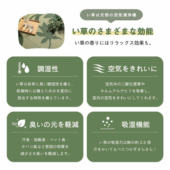 ラグ 長方形 い草 リーフ 自然素材 抗菌防臭 滑り止め不織布 約191×250cm 送料無料