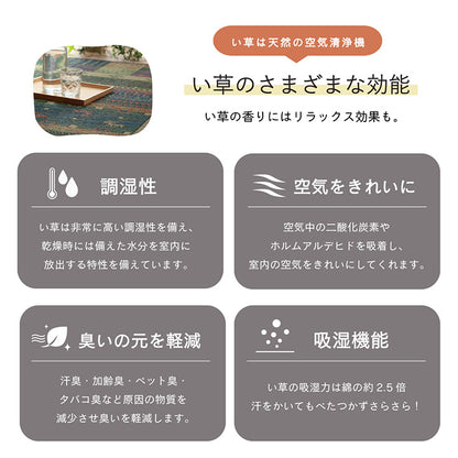 ラグ い草 ギャベ 自然素材 抗菌防臭 滑り止め不織布 約191×191cm 送料無料