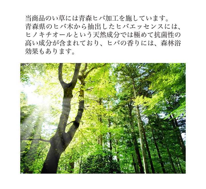 堀こたつ 掘りごたつ 堀り 炬燵 い草 ラグ 敷 市松 くり抜き 付属 マジックテープ 連結  裏 不織布  約191×250cm（中抜き:約90×120cm） 送料無料 - 【公式】allecore(アレコレ) 家具インテリア・生活雑貨のオンライン通販