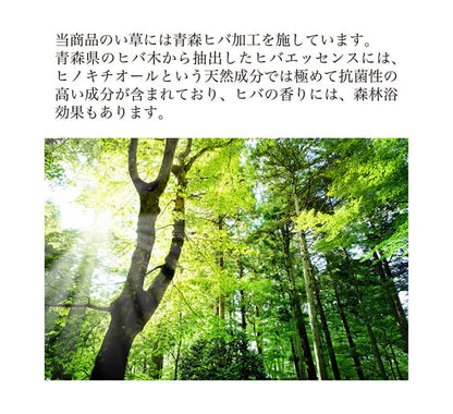 堀こたつ 掘りごたつ 堀り 炬燵 い草 ラグ 敷 市松 くり抜き 付属 マジックテープ 連結  裏 不織布  約191×250cm（中抜き:約90×120cm） 送料無料 - 【公式】allecore(アレコレ) 家具インテリア・生活雑貨のオンライン通販