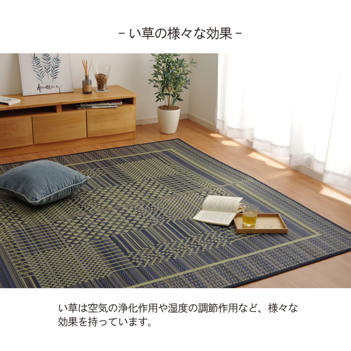 い草ラグ 消臭 カーペット 長方形 約191×300cm (裏:不織布) 滑りにくい加工 送料無料
