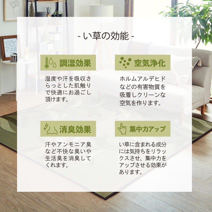 い草ラグ 消臭 カーペット 長方形 約191×300cm (裏:不織布) 滑りにくい加工 送料無料