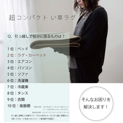 い草ラグ おしゃれ コンパクト シンプル カーペット  『DXモーセ』  約135×180cｍ 送料無料 - 【公式】allecore(アレコレ) 家具インテリア・生活雑貨のオンライン通販