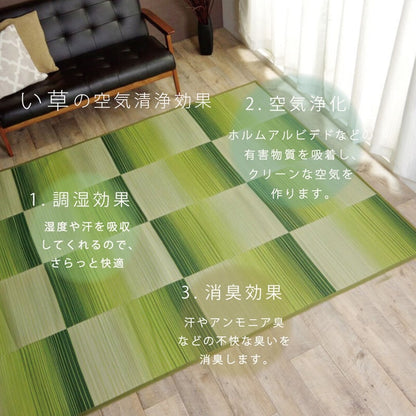い草ラグ おしゃれ コンパクト シンプル カーペット  『DXモーセ』  約135×180cｍ 送料無料 - 【公式】allecore(アレコレ) 家具インテリア・生活雑貨のオンライン通販