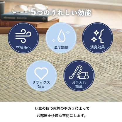 い草ラグ カーペット夏用 自然素材 節電 快適 インテリア ギャベル柄 シンプル おしゃれ 湿度調節 消臭効果 お手入れ簡単 約180×180cm 送料無料