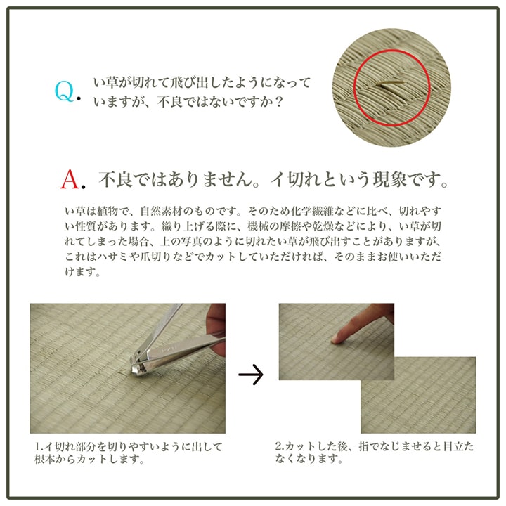 ラグ 長方形 い草 自然素材 シンプル ボーダー 裏面すべり止め付き 滑りにくい 抗菌防臭 約3畳 約180×240cm 送料無料