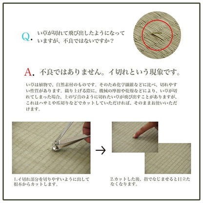 ラグ 長方形 い草 自然素材 シンプル ボーダー 裏面すべり止め付き 滑りにくい 抗菌防臭 約3畳 約180×240cm 送料無料