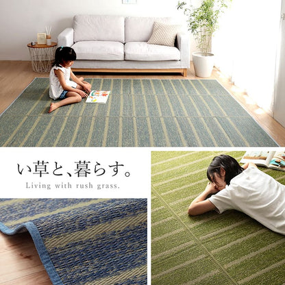 ラグ 長方形 い草 自然素材 シンプル ボーダー 裏面すべり止め付き 滑りにくい 抗菌防臭 約3畳 約180×240cm 送料無料