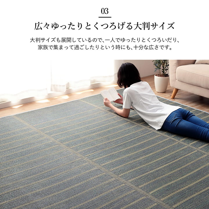 ラグ 長方形 い草 自然素材 シンプル ボーダー 裏面すべり止め付き 滑りにくい 抗菌防臭 約3畳 約180×240cm 送料無料