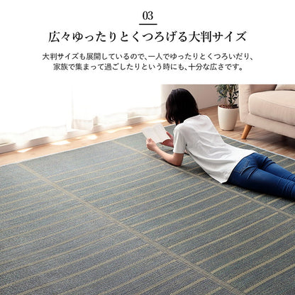 ラグ 長方形 い草 自然素材 シンプル ボーダー 裏面すべり止め付き 滑りにくい 抗菌防臭 約3畳 約180×240cm 送料無料