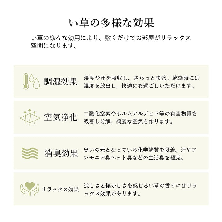 ラグ 長方形 い草 自然素材 シンプル ボーダー 裏面すべり止め付き 滑りにくい 抗菌防臭 約3畳 約180×240cm 送料無料