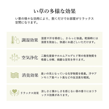 ラグ 長方形 い草 自然素材 シンプル ボーダー 裏面すべり止め付き 滑りにくい 抗菌防臭 約3畳 約180×240cm 送料無料