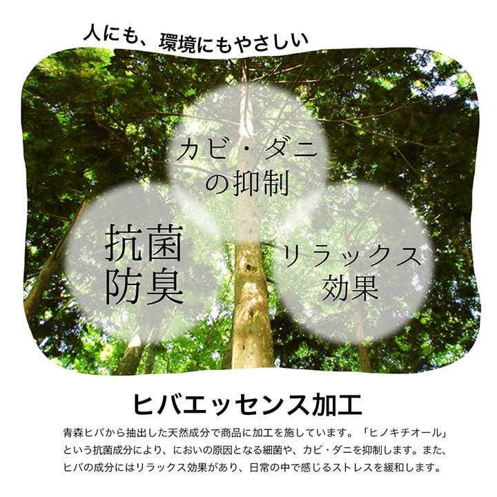 ラグ 長方形 い草 自然素材 シンプル ボーダー 裏面すべり止め付き 滑りにくい 抗菌防臭 約3畳 約180×240cm 送料無料