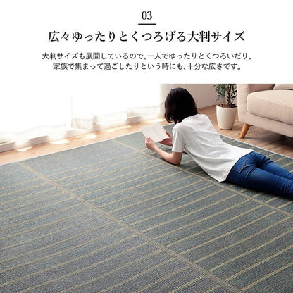 ラグ 正方形 い草 自然素材 シンプル ボーダー 裏面すべり止め付き 滑りにくい 抗菌防臭 約4.5畳 約240×240cm 送料無料