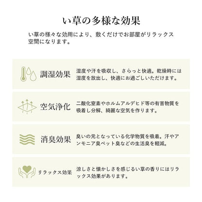 ラグ 正方形 い草 自然素材 シンプル ボーダー 裏面すべり止め付き 滑りにくい 抗菌防臭 約4.5畳 約240×240cm 送料無料