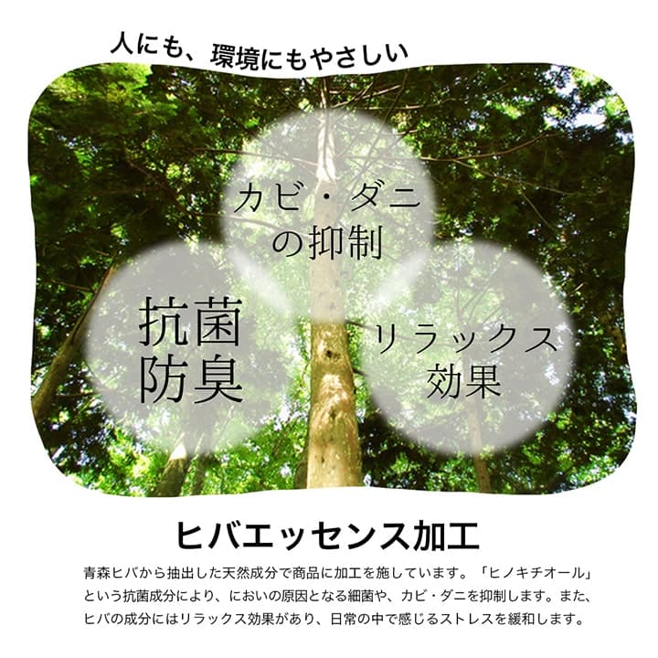 ラグ 長方形 い草 自然素材 シンプル ボーダー 裏面すべり止め付き 滑りにくい 抗菌防臭 約6畳 約240×320cm 送料無料