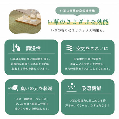 ラグ 正方形 い草 自然素材 クッション性 撥水 防ダニ 滑り止め加工 抗菌防臭 消臭 約2畳 約190×190cm 送料無料