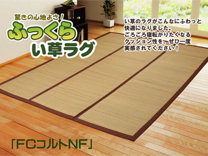 チップウレタン8mm入り い草ラグカーペット 『FCコルトNF』 約200×200cm 送料無料