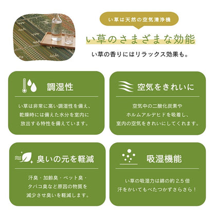 ラグ マット い草 ギャベ 自然素材 抗菌防臭 不織布 約60×180cm 送料無料