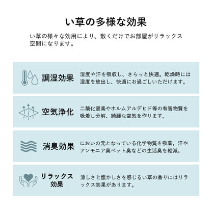 い草 畳 自然素材 カーペット ラグ インテリア 夏用 節電 無地 涼しい ダイヤ柄 シンプル クッション性 約190×190cm 送料無料