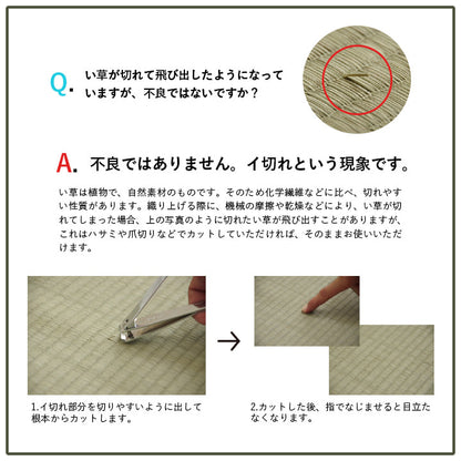 い草 畳 自然素材 カーペット ラグ インテリア 夏用 節電 無地 涼しい ダイヤ柄 シンプル クッション性 約190×190cm 送料無料