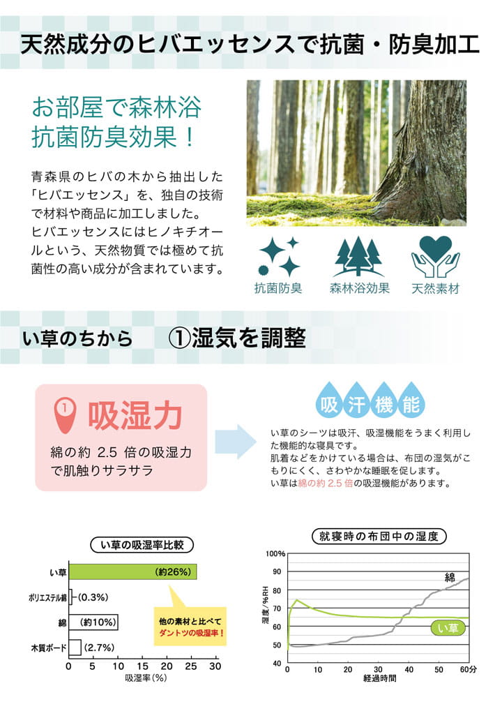 ラグ い草 撥水 滑り止め 不織布 格子柄 シンプル カジュアル 抗菌防臭 約190×300cm 送料無料