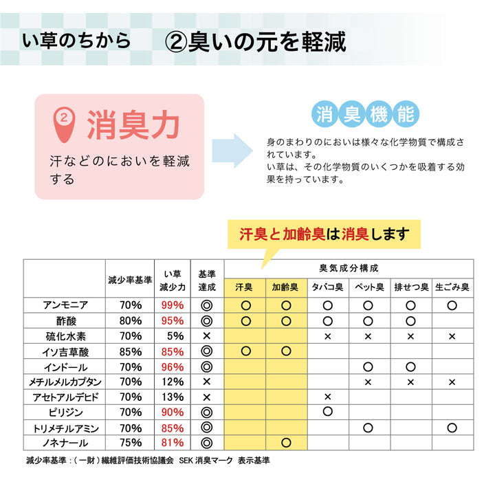 ラグ い草 撥水 滑り止め 不織布 格子柄 シンプル カジュアル 抗菌防臭 約190×300cm 送料無料
