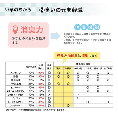 ラグ い草 撥水 滑り止め 不織布 格子柄 シンプル カジュアル 抗菌防臭 約190×300cm 送料無料