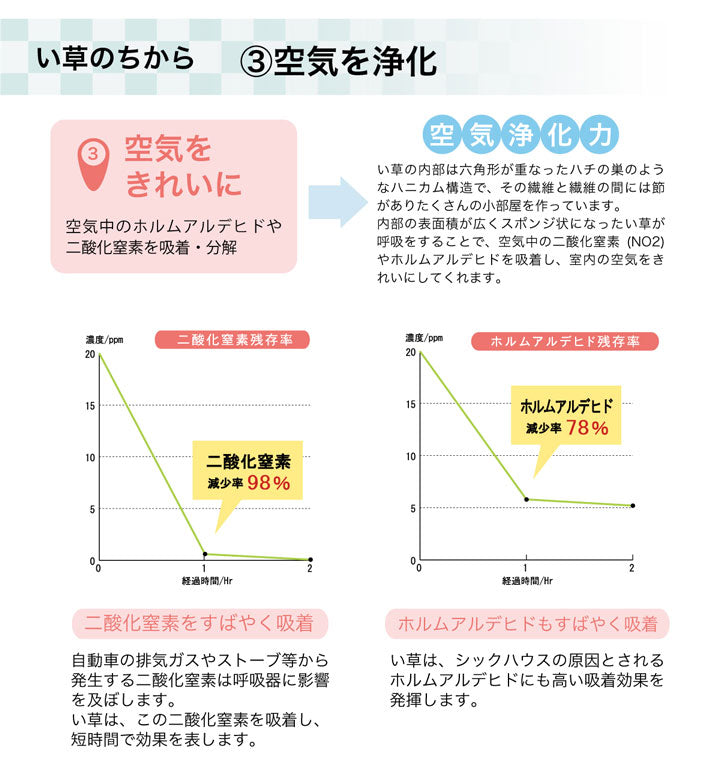 ラグ い草 撥水 滑り止め 不織布 格子柄 シンプル カジュアル 抗菌防臭 約190×300cm 送料無料