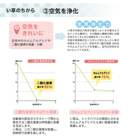 ラグ い草 撥水 滑り止め 不織布 格子柄 シンプル カジュアル 抗菌防臭 約190×300cm 送料無料
