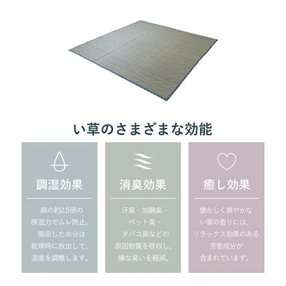い草 畳 自然素材 カーペット ラグ インテリア 夏用 節電 無地 涼しい チェック柄 シンプル おしゃれ 滑り止め クッション性 約180×180cm 送料無料