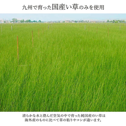 敷物 花ござ 国産 純国産 日本製 い草 モダン 抗菌防臭 自然素材 江戸間6畳 約261×352cm 送料無料